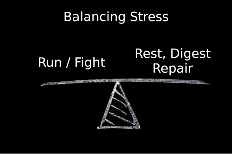 Sustained positive emotion favors rest-and-repair physiology over fight-or-flight