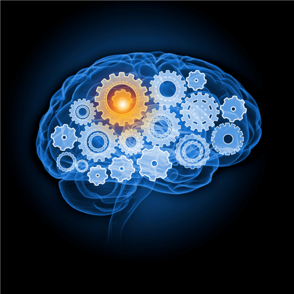 Brain with a bright cogwheel illustration