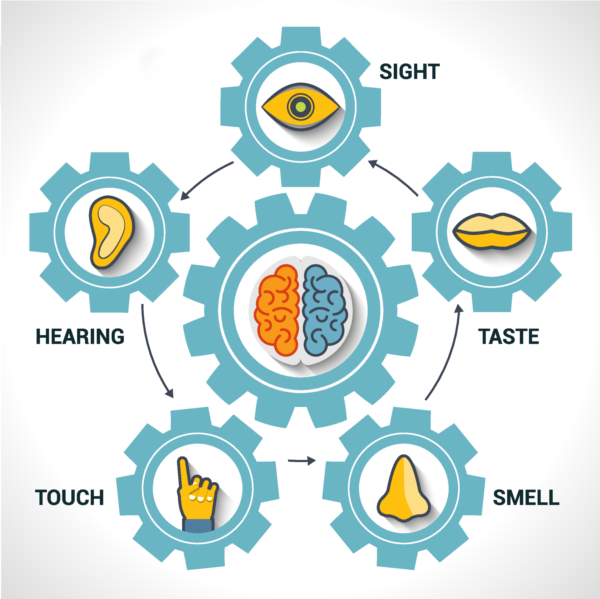 Brain sensory integration illustration