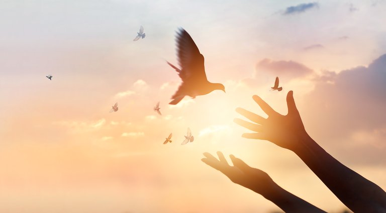 Doves released from open hands into a sunset sky