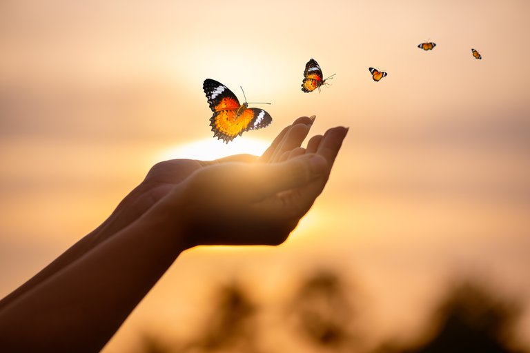 Butterflies released from open hands into a sunset sky